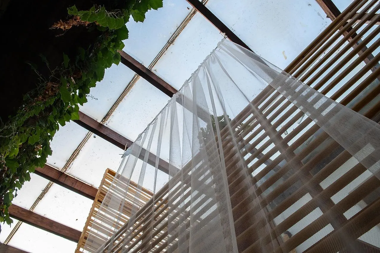 Sunshine Art Studio Homestay In The Alley Suzhou