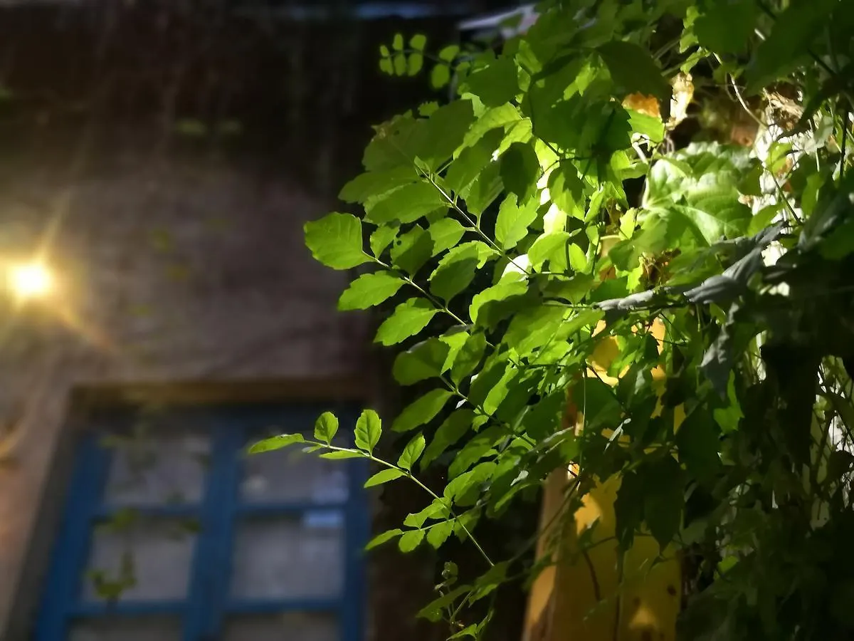 Sunshine Art Studio Homestay In The Alley Suzhou   Suzhou (Jiangsu)